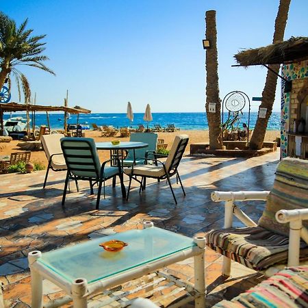 Habiba Beach Lodge Нувейба Экстерьер фото