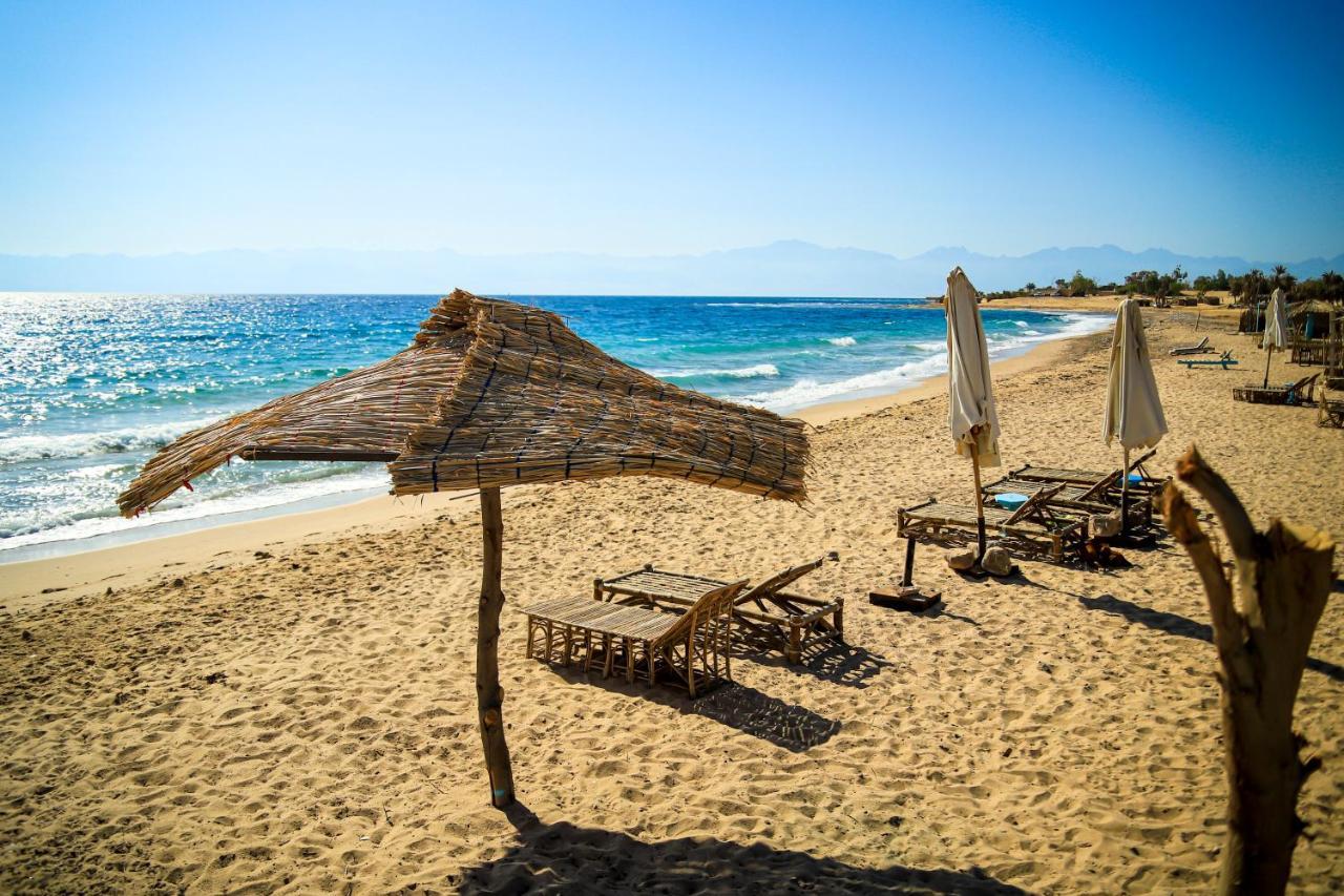 Habiba Beach Lodge Нувейба Экстерьер фото