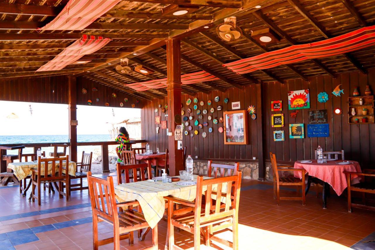 Habiba Beach Lodge Нувейба Экстерьер фото
