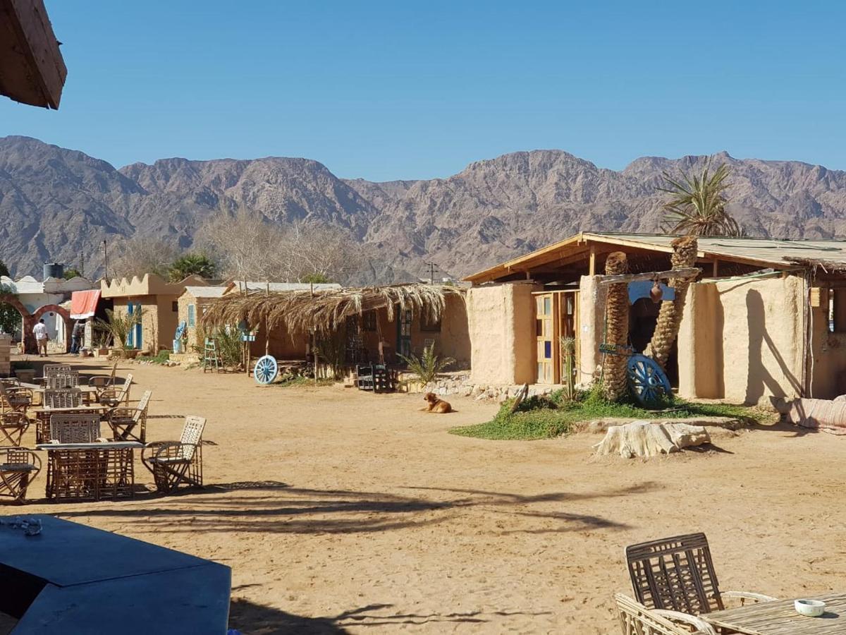 Habiba Beach Lodge Нувейба Экстерьер фото