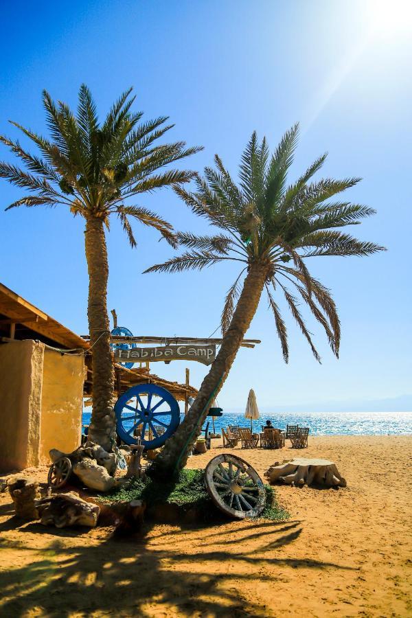 Habiba Beach Lodge Нувейба Экстерьер фото
